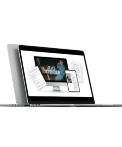 Jamie Sea – The CEO Club