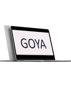 Goya Advanced Course 2023 – Sam9y