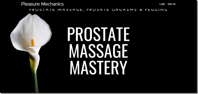 Download Pleasure Mechanics – Prostate Massage Mastery