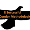 Download Dan Sheridan – 8 Successful Iron Condor Methodologies
