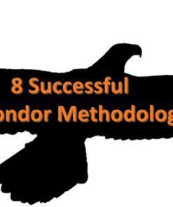Download Dan Sheridan – 8 Successful Iron Condor Methodologies