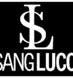 Download Sang Lucci – Options Masters Class