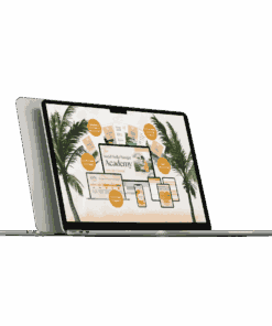 Studio Socials – Social Media Manager Academy Silver