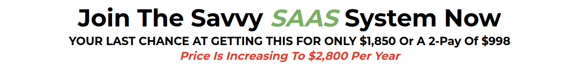 Download Matt C Milne – The Savvy SAAS System