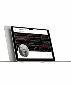 JBear Trades – Price Action Scalping Value and Candlesticks