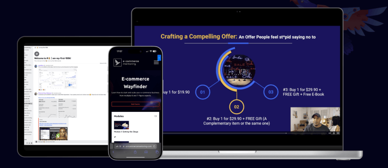 Download E-commerce Mentoring – E-commerce Wayfinder