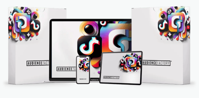 Download Mike Dillard – Audience Factory