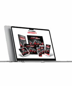 Steven Hart - TTC Forex University