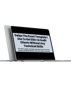 The AI Audit Workshop - The Exact Template I Use To Get $5k+ AI Audit Clients Without Any Technical Skills!