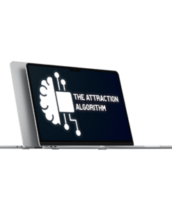 Dark Needle Academy - The Attraction Algorithm