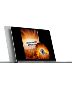 David Snyder - Hidden Laws Of Attraction