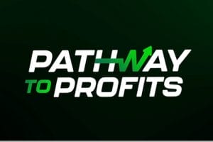 Download Educateio – Pathway To Profits – Waqar Asim